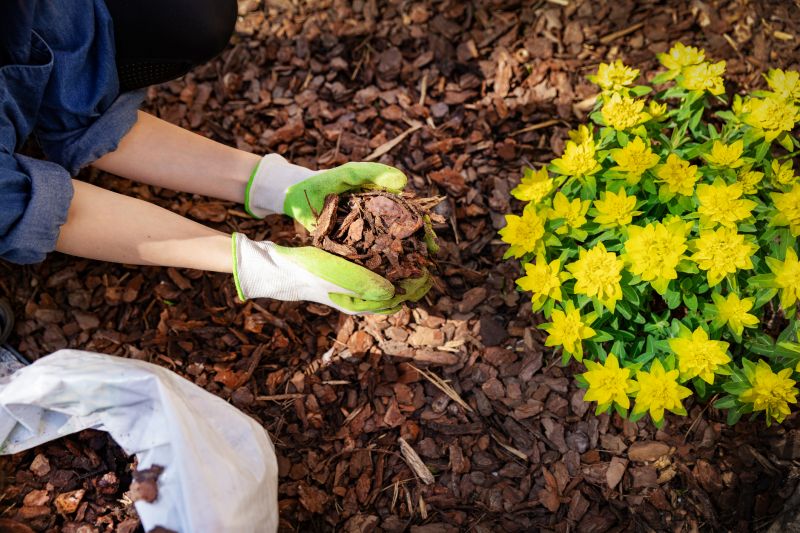 Mulchings in Autumn