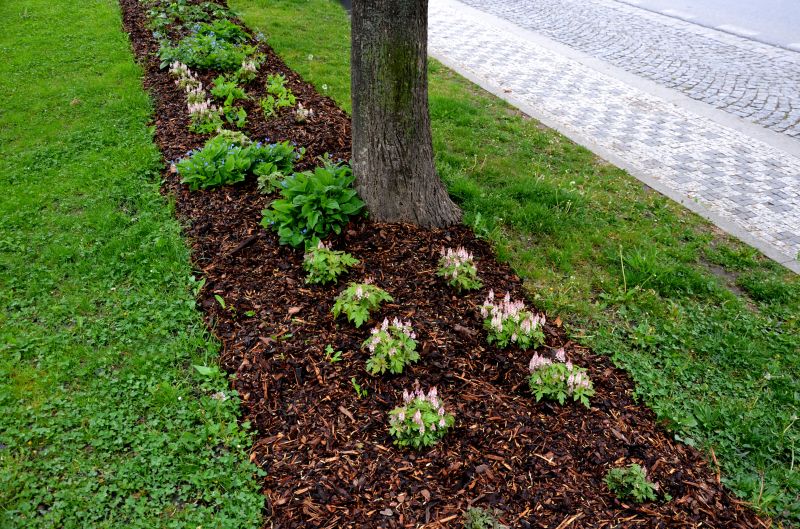 Mulched Garden Bed